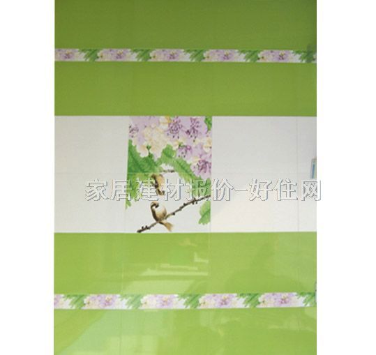 ��ʢ��Ƭ ����9WBC3 60mm��300mm