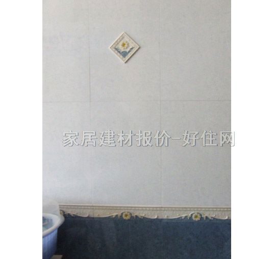 ��ʢ��Ƭ �ŵ�y�909BJ 70mm��300mm