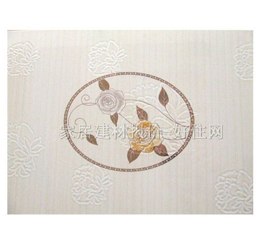 ��ʢ���u��Ƭ 922AT 300��450mm