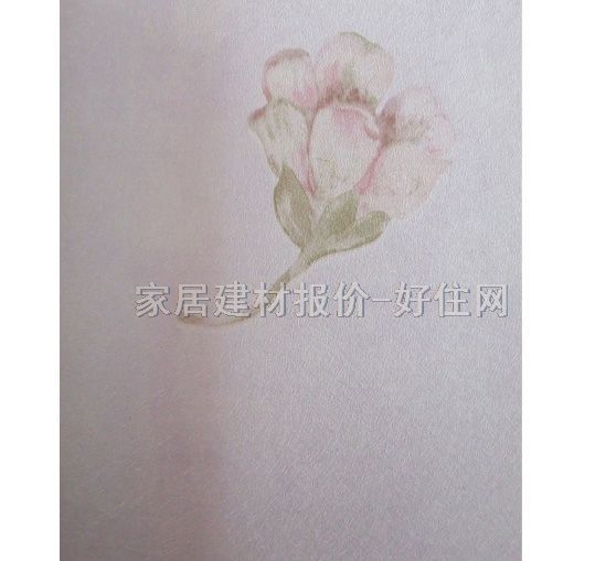 ��ܽ�Չ��� 250106 0.53��10M 