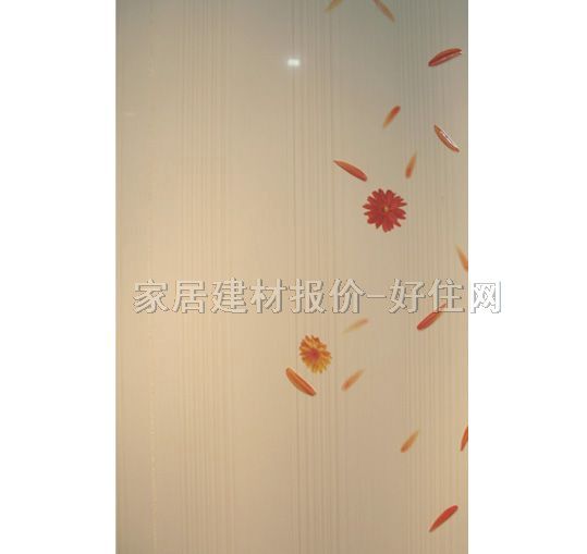 ��x���u��Ƭ 11203-002A 300��600mm