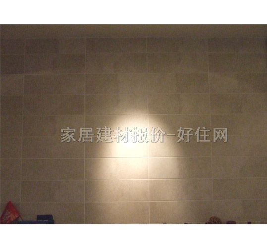 �L�ȵشu �¹ŴuIS5101 500mm��165mm