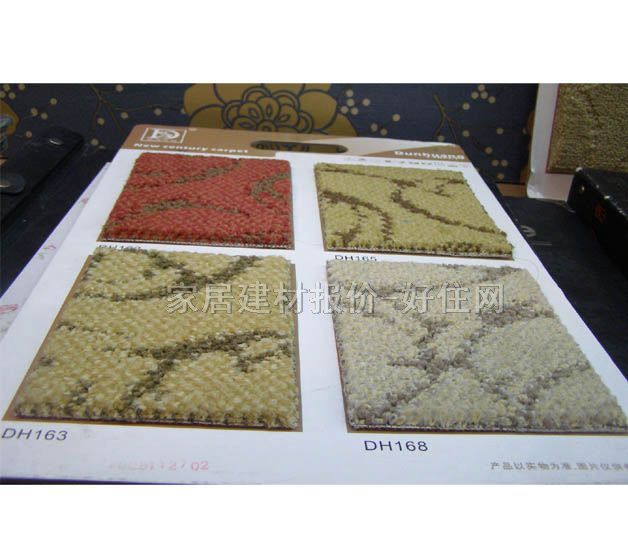 �ػͼ�ͥ�M䁵�̺ DH165 4M