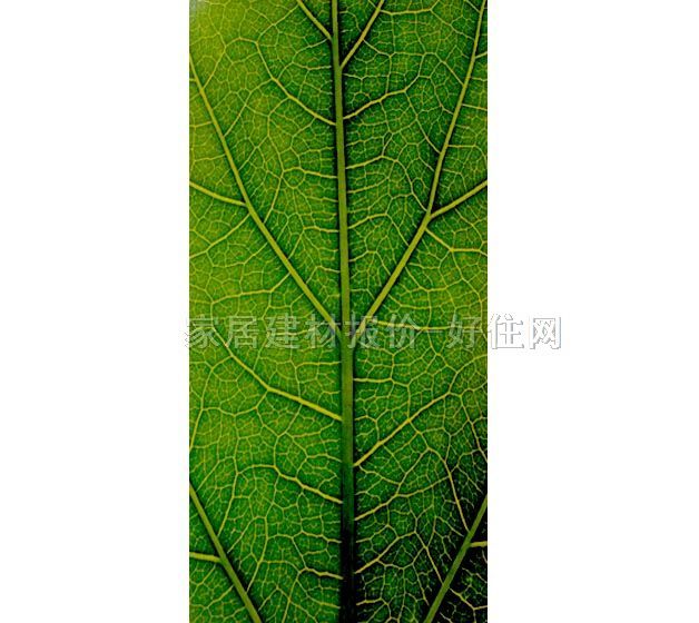 ���� �ڮ� S7006 ӆ�� �~�y �Gɫ