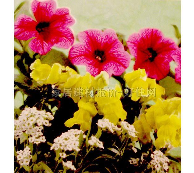 ���� �ڮ� S7007 ӆ�� �� ��ɫ �Sɫ