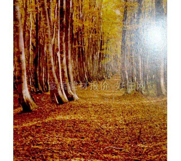 ���� �ڮ� S8008 ӆ�� �L�� ��ɫ