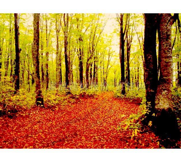 ���� PP���ڮ�S8010 ӆ�� �L�� �tɫ �Sɫ