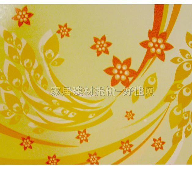 ���� PP���ڮ�S6016 ӆ�� �� �Sɫ