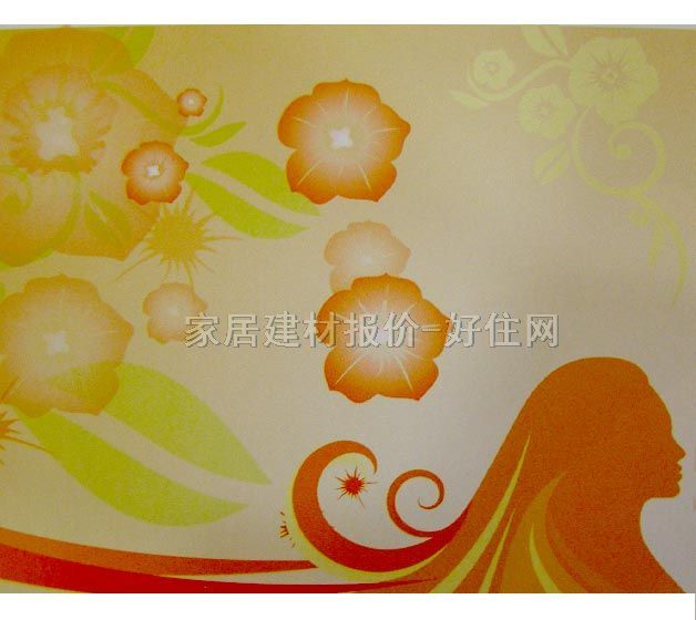 ���� PP���ڮ�S6027 ӆ�� �� ��ɫ