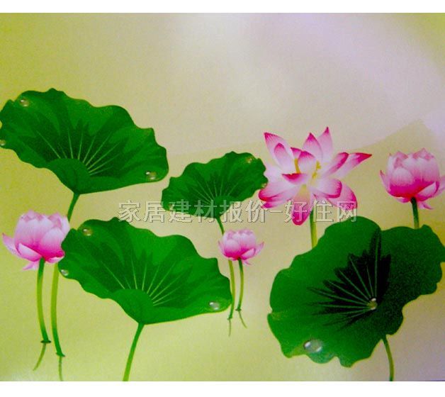 ���� PP���ڮ�S8003 ӆ�� �� �Gɫ