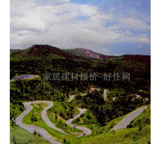 ���� PP���ڮ�S8004 ӆ�� �L�� �Gɫ