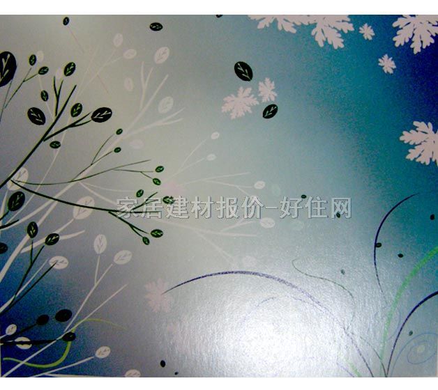 ���� PP���ڮ�S6005 ӆ�� �� �{ɫ