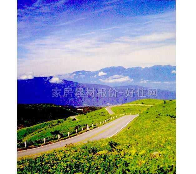 ���� PP���ڮ�S8017 ӆ�� �L�� �{ɫ