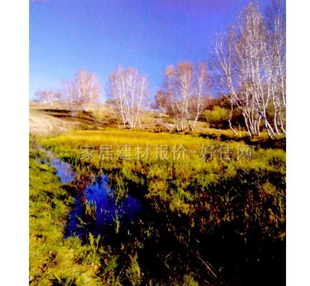 ���� PP���ڮ�S8019 ӆ�� �L�� �Sɫ �{ɫ