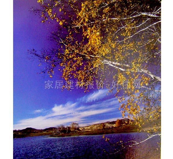 ���� PP���ڮ�S8020 ӆ�� �L�� �{ɫ