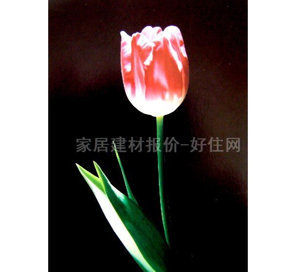 ���� PP���ڮ�S7009-2 ӆ�� �� ��ɫ