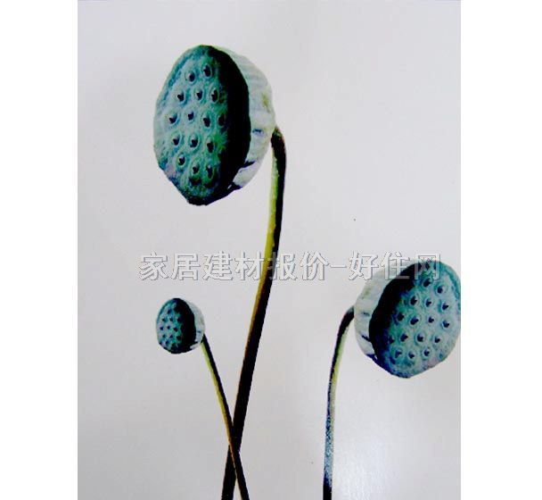 ���� PP���ڮ�S7010 ӆ�� �� ��ɫ