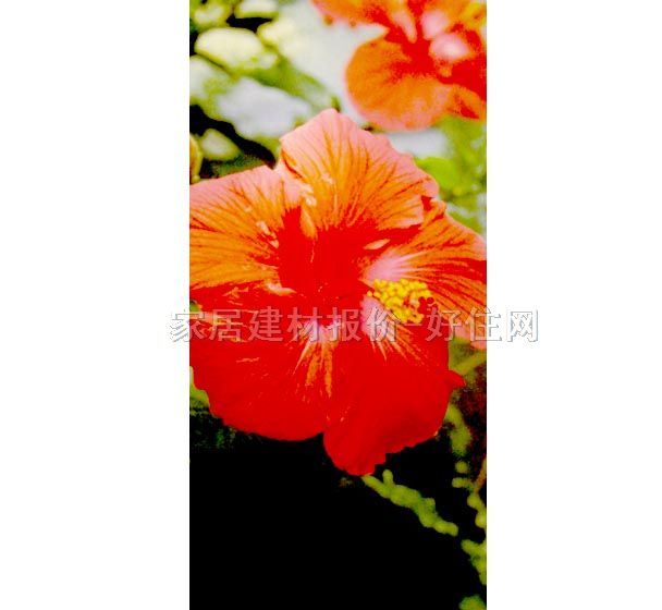 ���� PP���ڮ�S7011 ӆ�� �� �tɫ