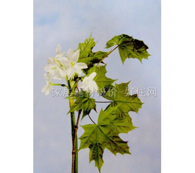 ���� PP���ڮ�S7015 ӆ�� �� �{ɫ �Gɫ