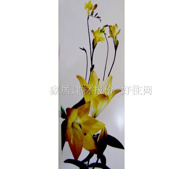 ���� PP���ڮ�S7016 ӆ�� �� ��ɫ