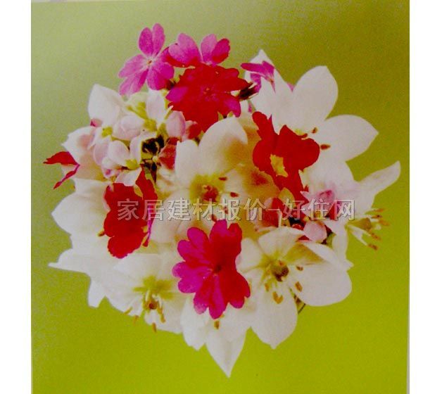 ���� PP���ڮ�S7017 ӆ�� �� �Gɫ �tɫ