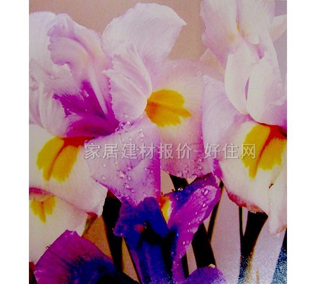 ���� PP���ڮ�S7018 ӆ�� �� ��ɫ