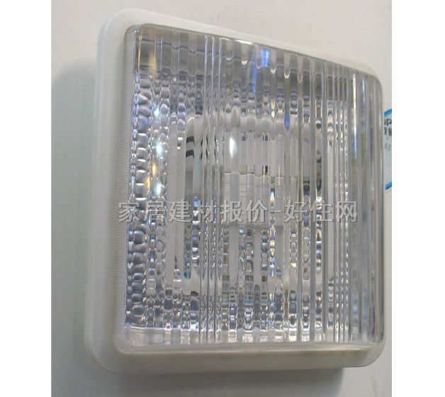 �W����픟� �N�l��_��MX250F-Y21 ���� �F�������L�� ͸��������