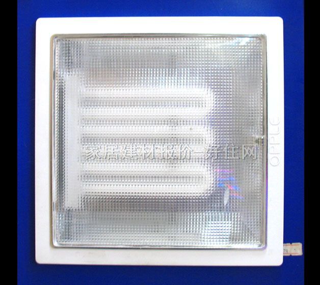 ��픟� �N�l��_��-2 ���� �F�������L�� ͸��������