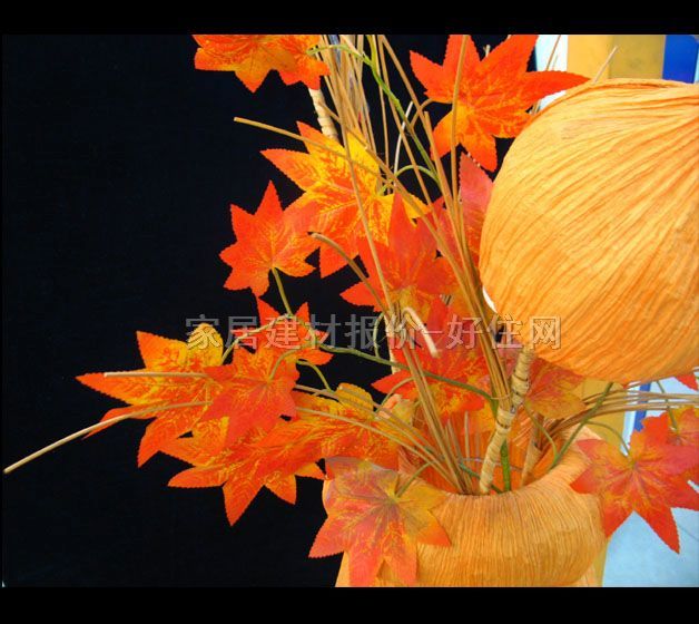 ������؟� ���@�������؟�15W δ֪mm �������� ���񾎿����� ���񾎿�����