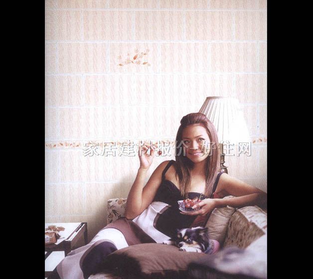 ���ӌ�����u ����u��ɫ���݈D��H45363 300mm��450mm