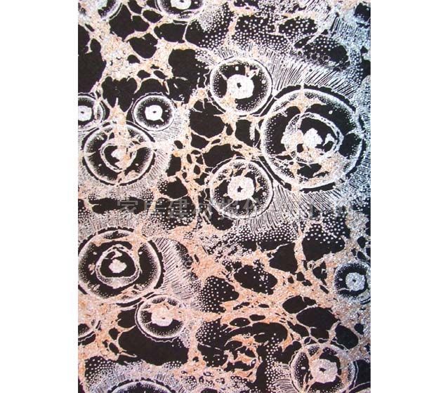 ABY���� 672007 ��530mm���L10�� �׺� ��ɫ