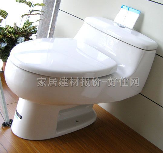 �����B�w�RͰ���� ֥�Ӹ�ϵ�� δ֪