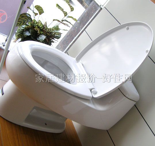 �����B�w�RͰ���� ֥�Ӹ�ϵ�� δ֪