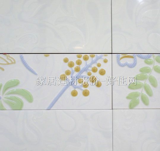 ������Ƭ ����E05C2-M2F 60mm��300mm