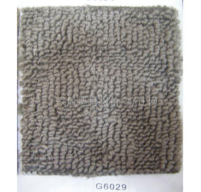 ��ͥ�M䁵�̺ G6029 ӆ��