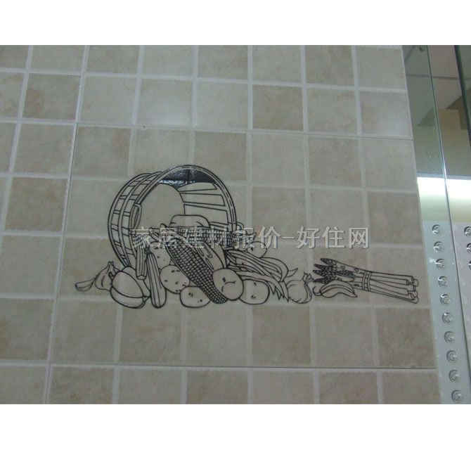 ����˹���u��Ƭ H11P-1 300��450mm