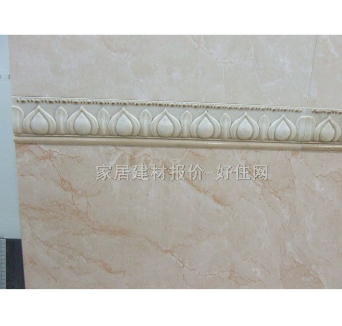 ��Ƭ �ŵ�y�F8041W 80mm��300mm