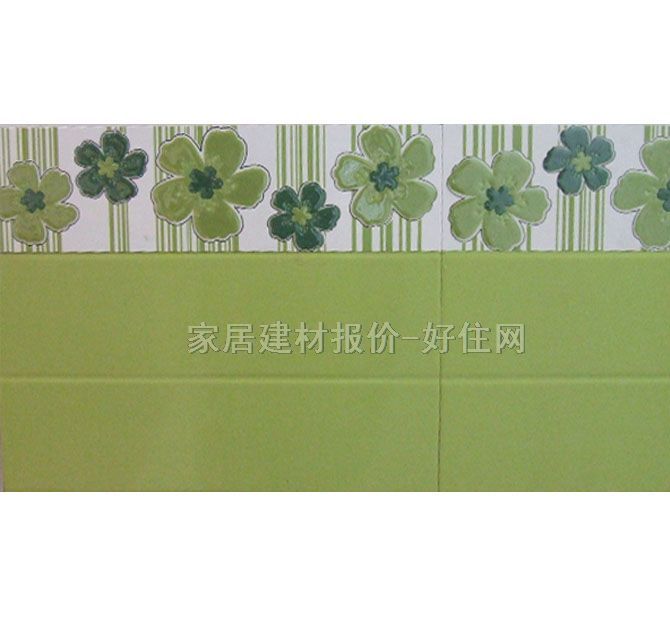 ��Ƭ ����E8011W 100mm��300mm