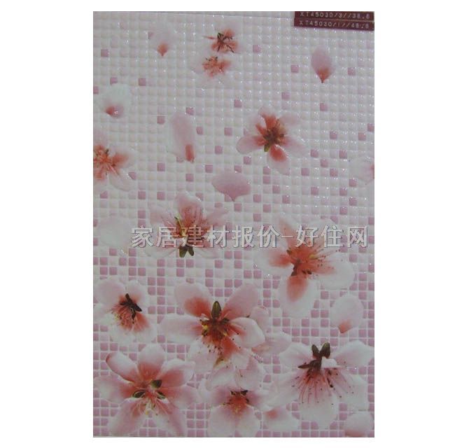 ����u ����u�tɫ���݈D��XT450303/-1 300mm�� 450mm