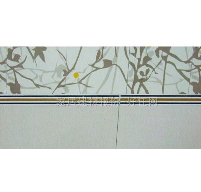 ��Ƭ ����LN20932Z01_A 25mm��300mm