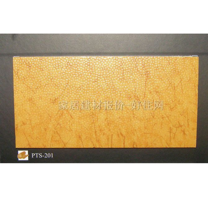 ����˹����PVC���ϵذ� PTS-201 2��20M