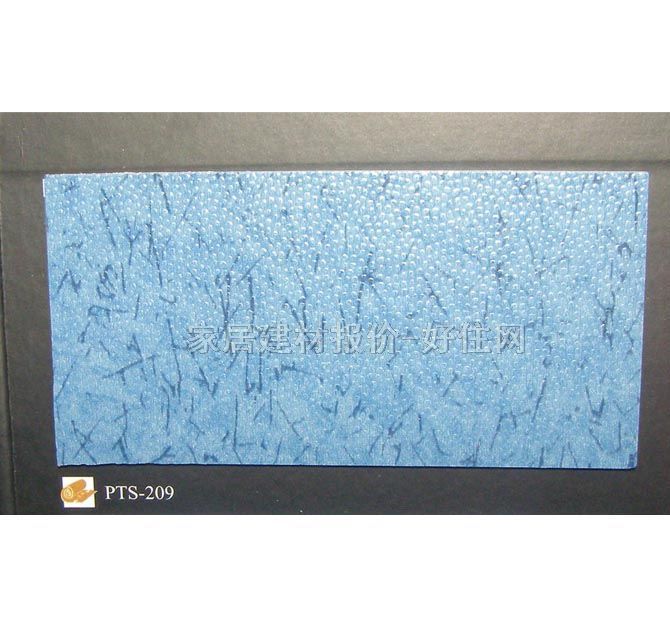 ����˹����PVC���ϵذ� PTS-209 2��20M