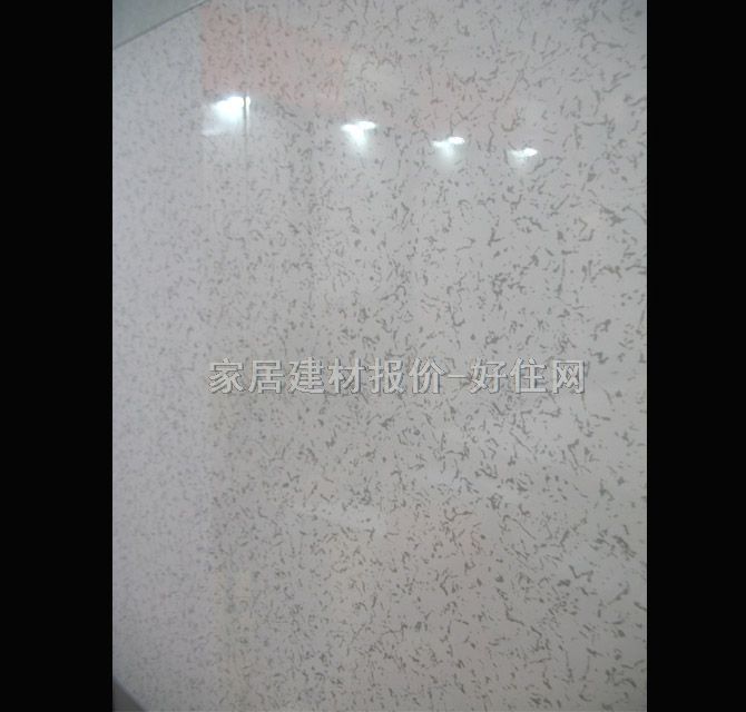 �϶�̩�X�۰��컨 ��ĤСëë�x 600mm��300mm