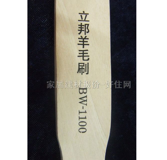 ����ëˢ ����ˮ��ͨ��BW-1100 4��