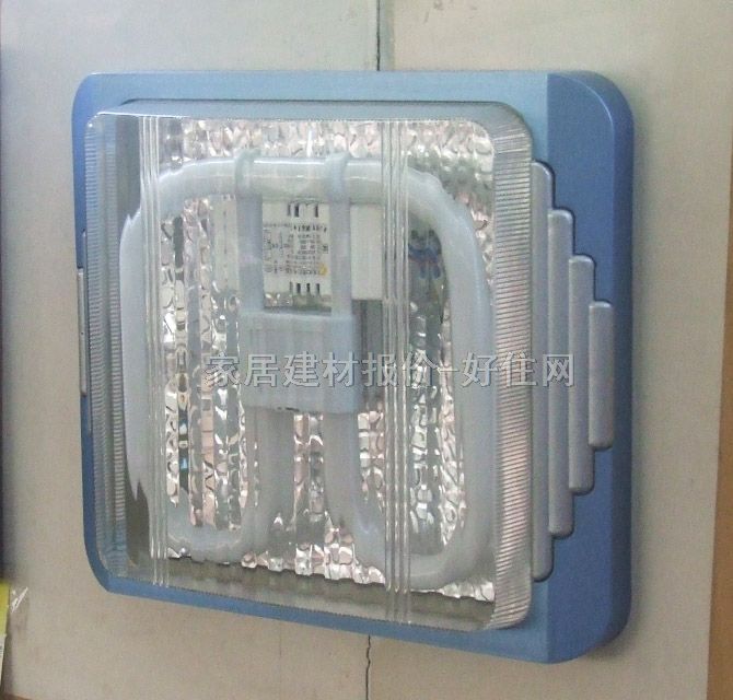 ���`��픟� �N�l��_����犱� ���� �F�������L�� ͸��������