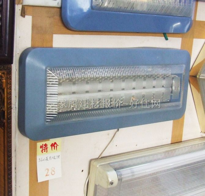 ���`��픟� �N�l��_�� ���� �F�������L�� ͸��������