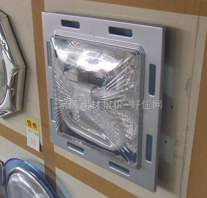 ������픟� �N�l��_��A2021�m ���� �F�������L�� ͸��������