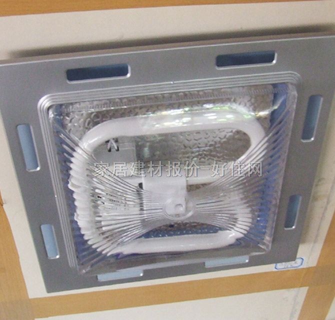 ������픟� �N�l��_��A2021�m ���� �F�������L�� ͸��������