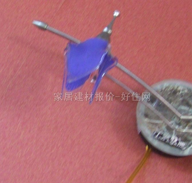 ̫���Rǰ��  С���2038/2 ��ʽ���� �������| ��ɫ ���ܟ�