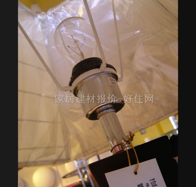 ��ʥ���_�� �\��ɫT2019 ��δ֪cm �F������ ��ˇ���� ľ�|����